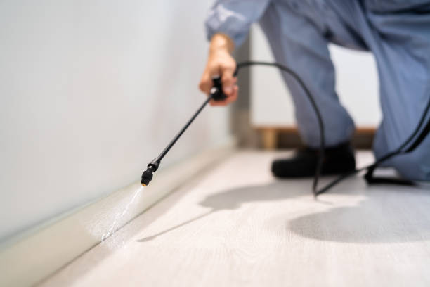 Licensed Termite Control service in Prudenville, MI - Nex Pest Control