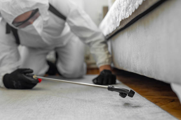 Professional Termite Control technician working in Prudenville, MI