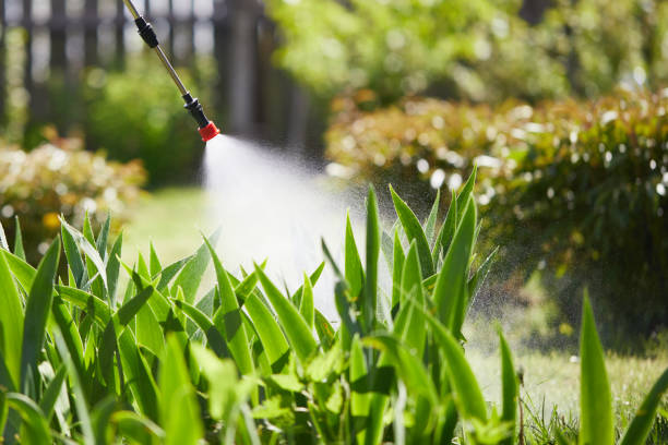 24/7 Emergency Termite Control experts in Prudenville, MI
