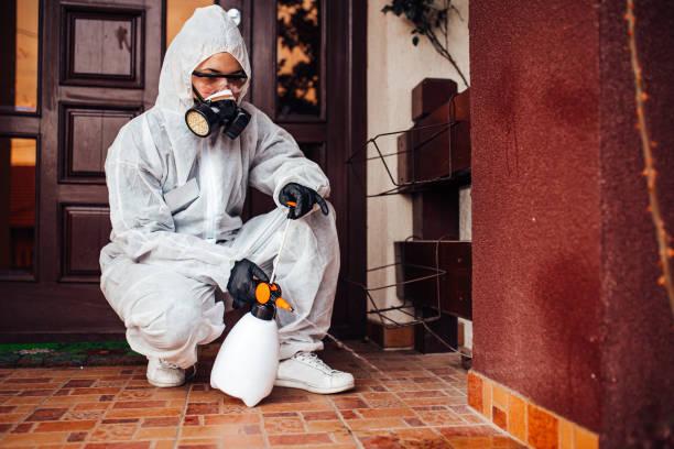 Reliable Termite Control contractor in Prudenville, MI by Nex Pest Control