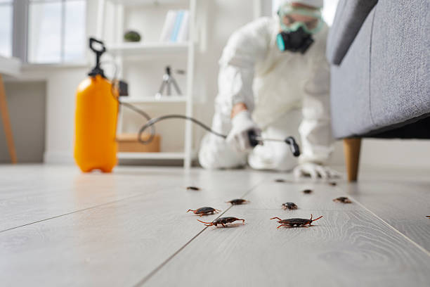Trusted Termite Control service in Prudenville, MI - Nex Pest Control